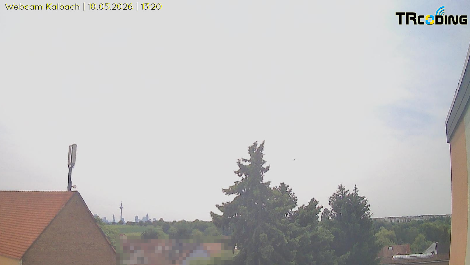 Webcambild