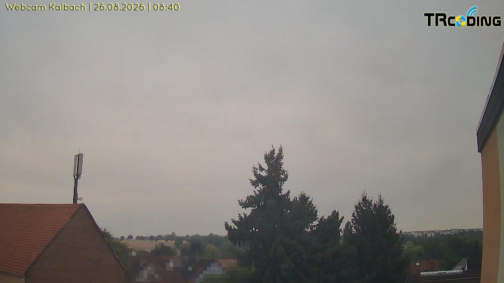 Webcambild