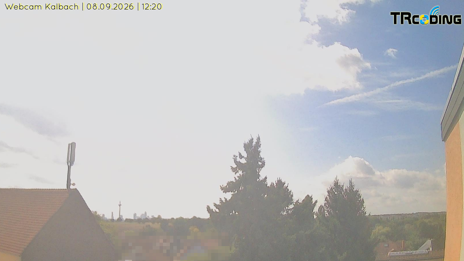 Webcambild