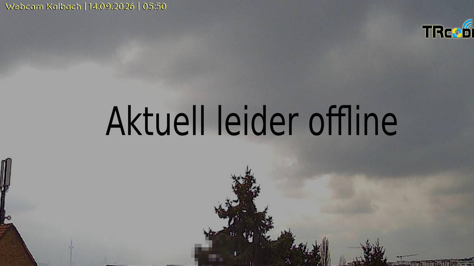 Webcambild