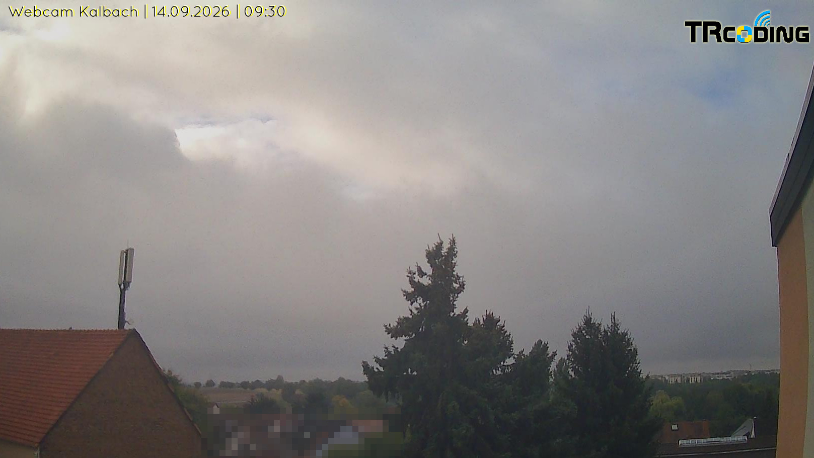 Webcambild