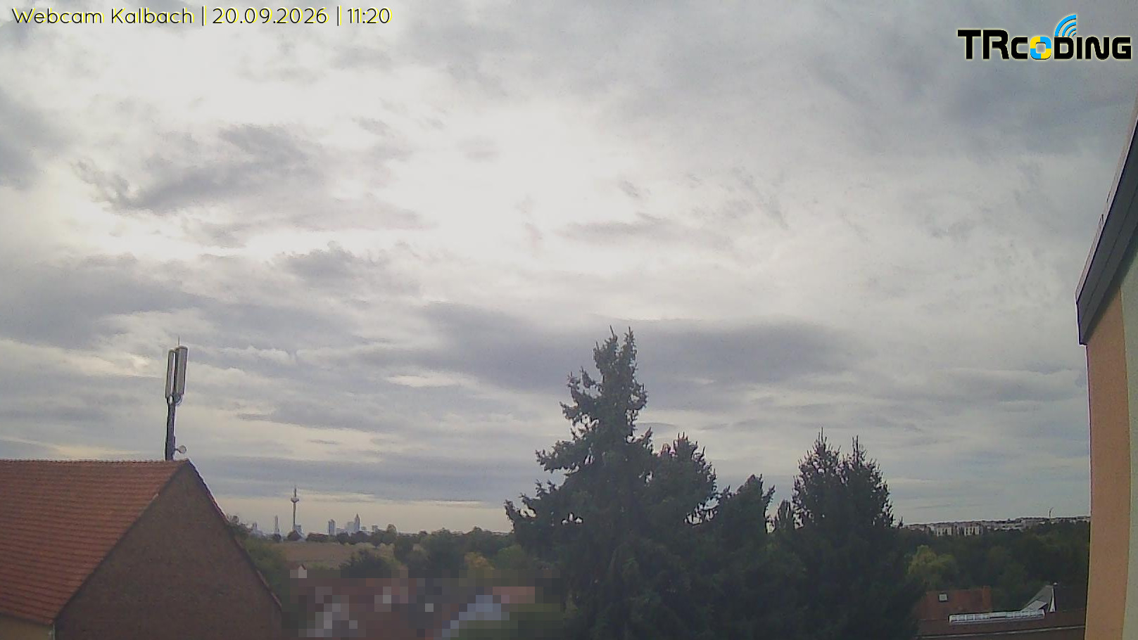 Webcambild