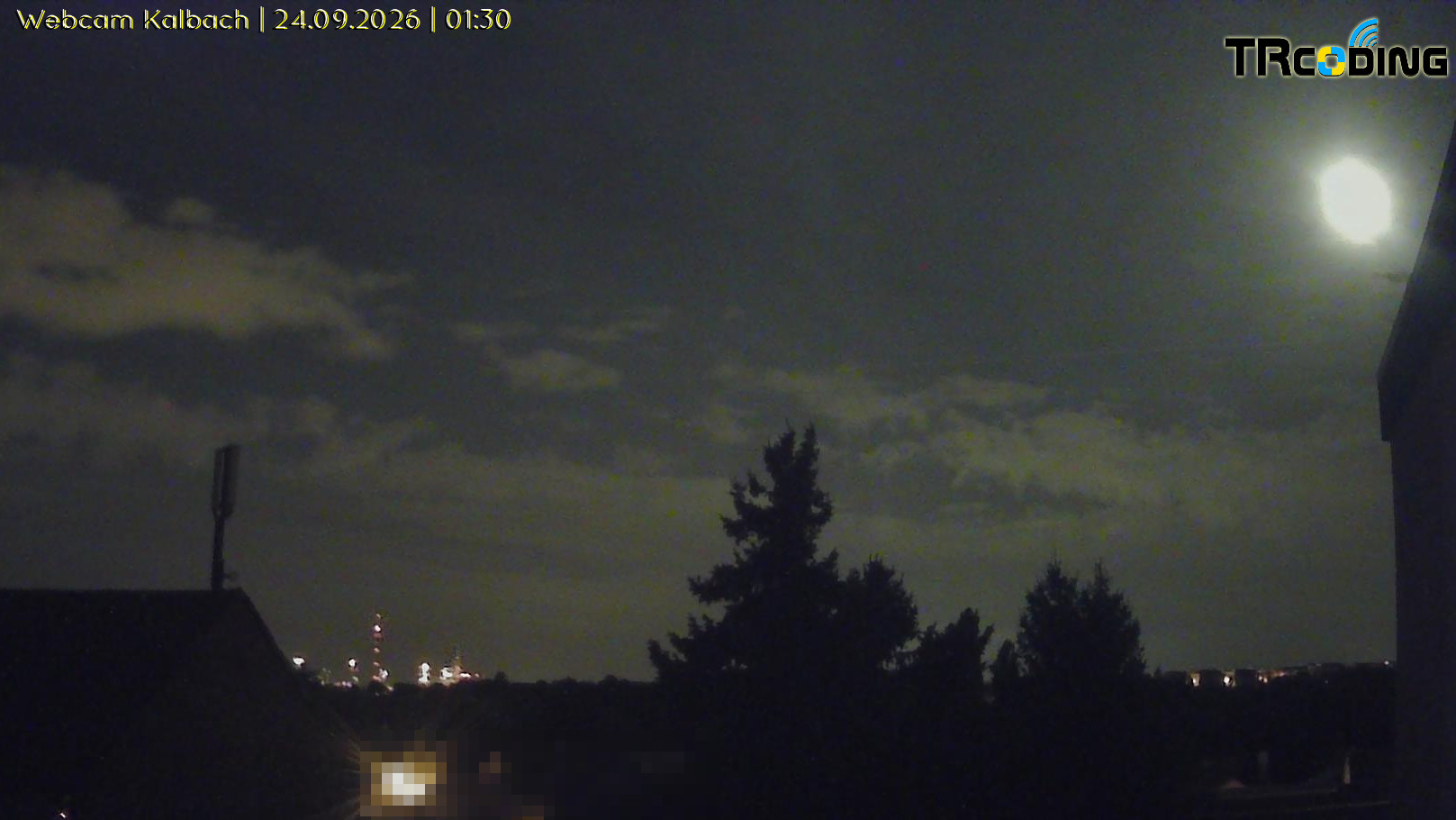 Webcambild