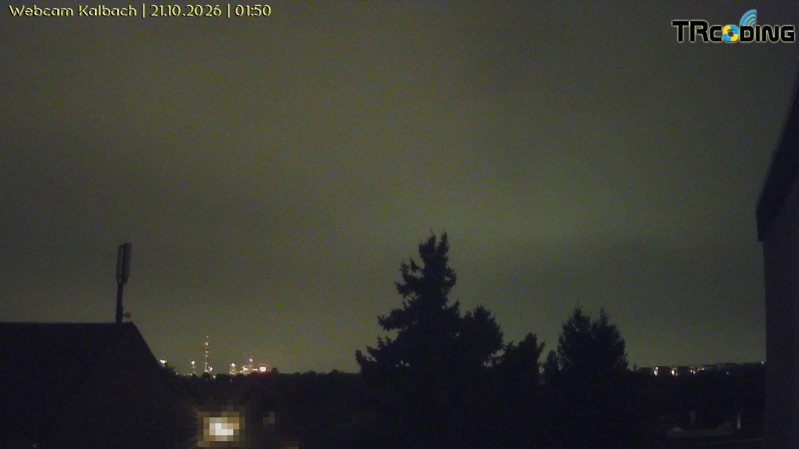 Webcambild