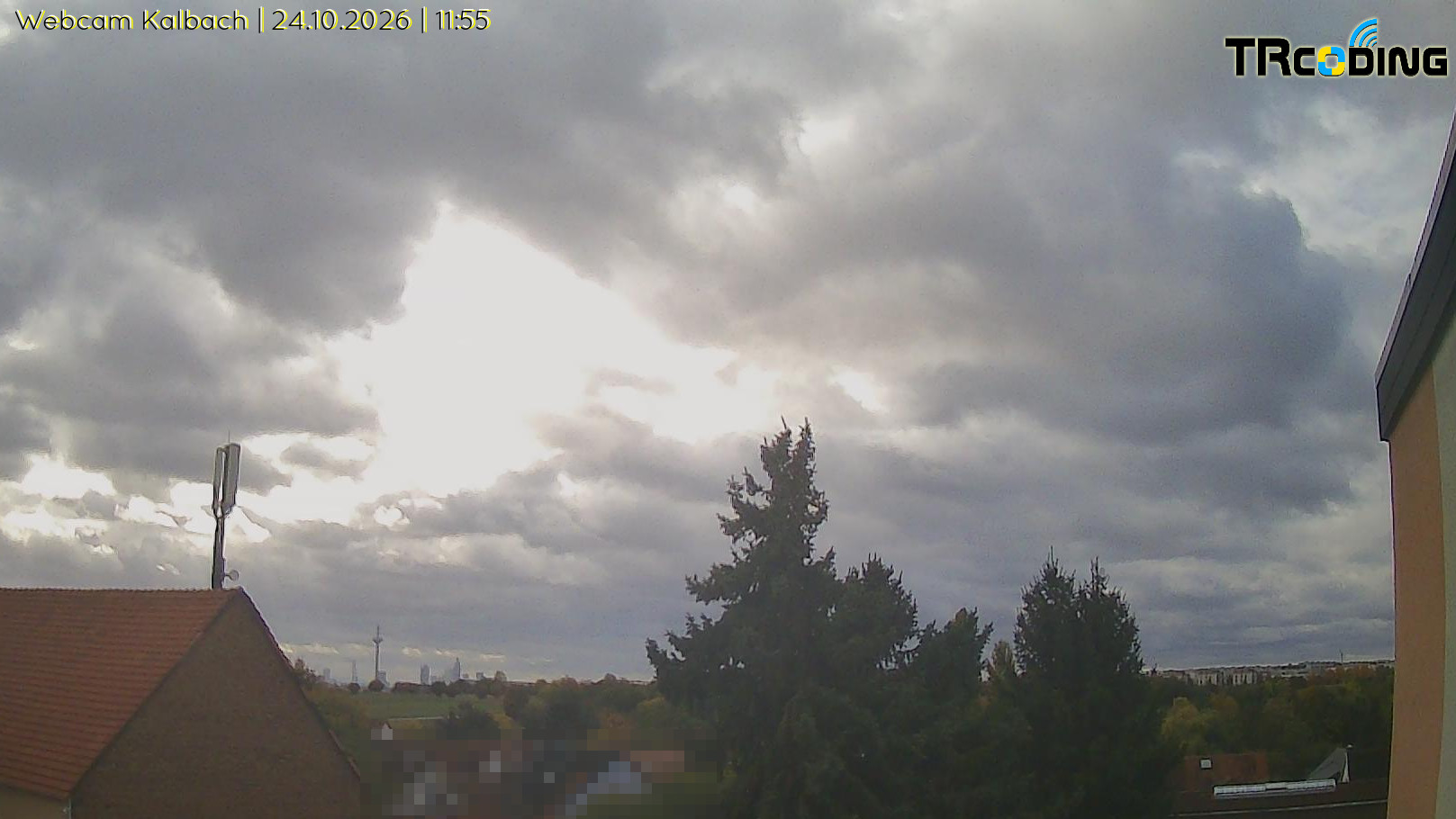Webcambild