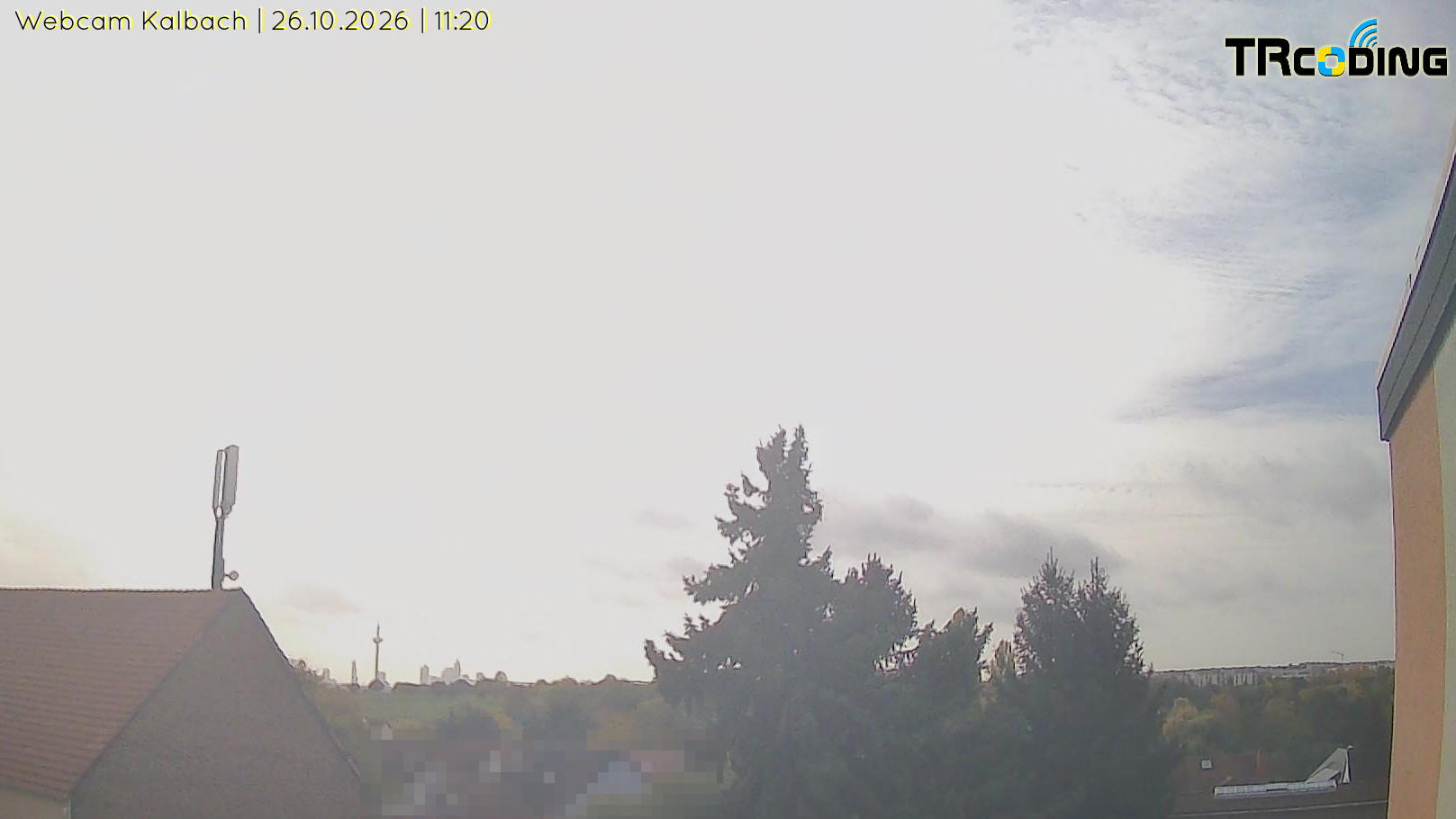 Webcambild