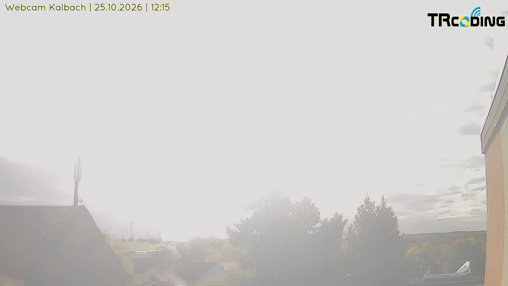 Webcambild