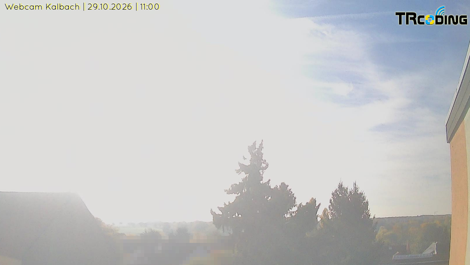 Webcambild